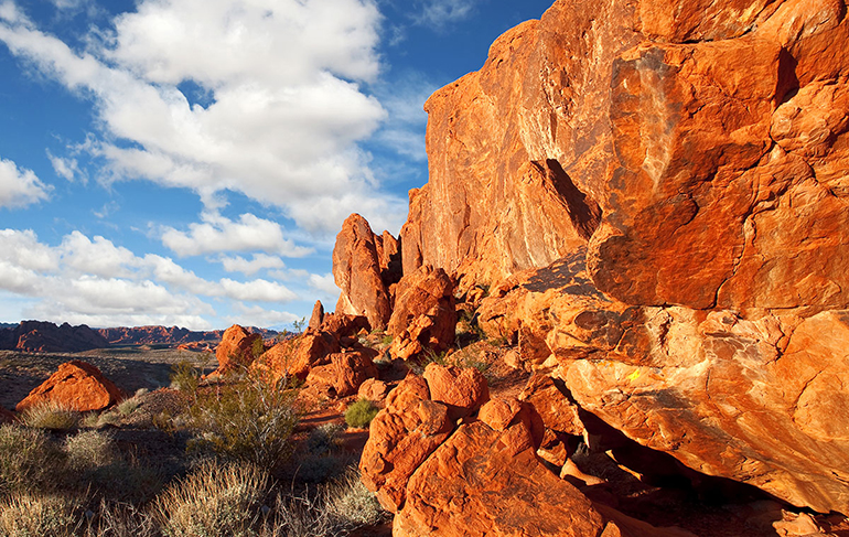 Desert Landscape